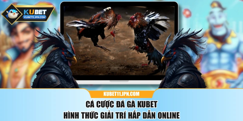 Cá Cược Đá Gà KUBET