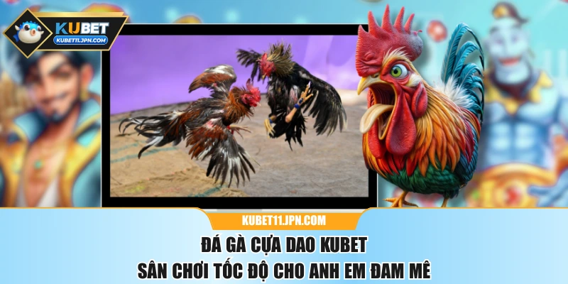 Đá Gà Cựa Dao KUBET