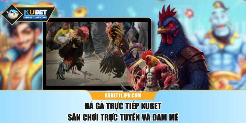 Đá Gà Trực Tiếp KUBET
