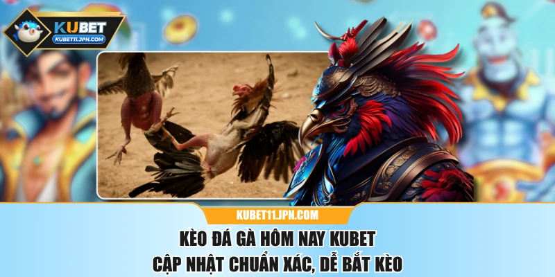 Kèo Đá Gà Hôm Nay KUBET