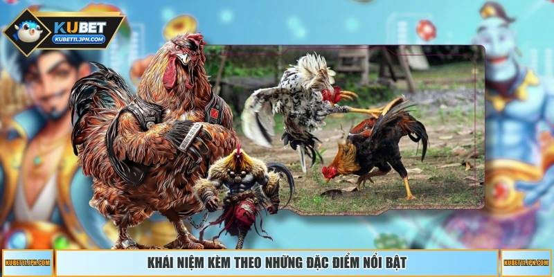 Khái niệm kèm theo những đặc điểm nổi bật