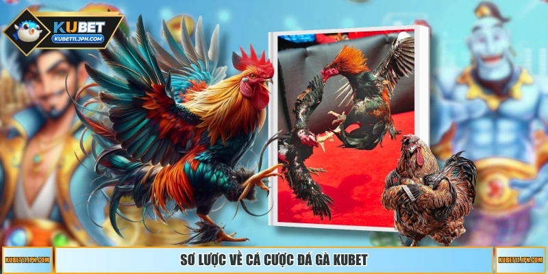 Sơ lược về cá cược đá gà 