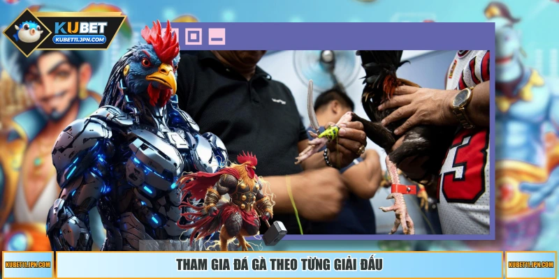 Tham gia đá gà theo từng giải đấu