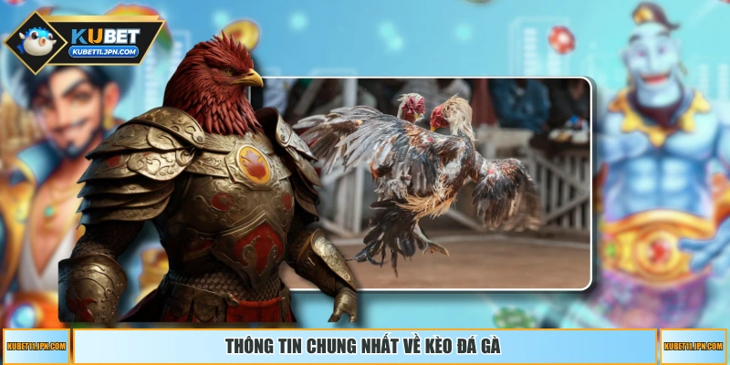 Thông tin chung nhất về kèo đá gà