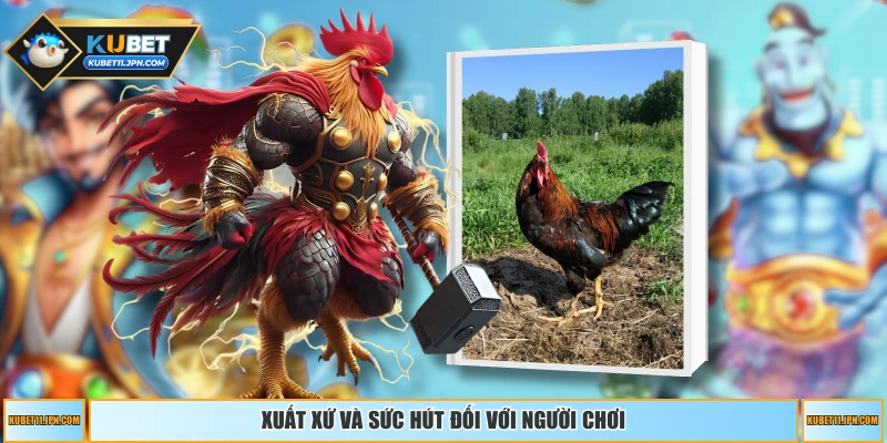 Xuất xứ và sức hút đối với người chơi